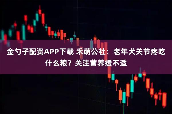 金勺子配资APP下载 禾萌公社：老年犬关节疼吃什么粮？关注营养缓不适